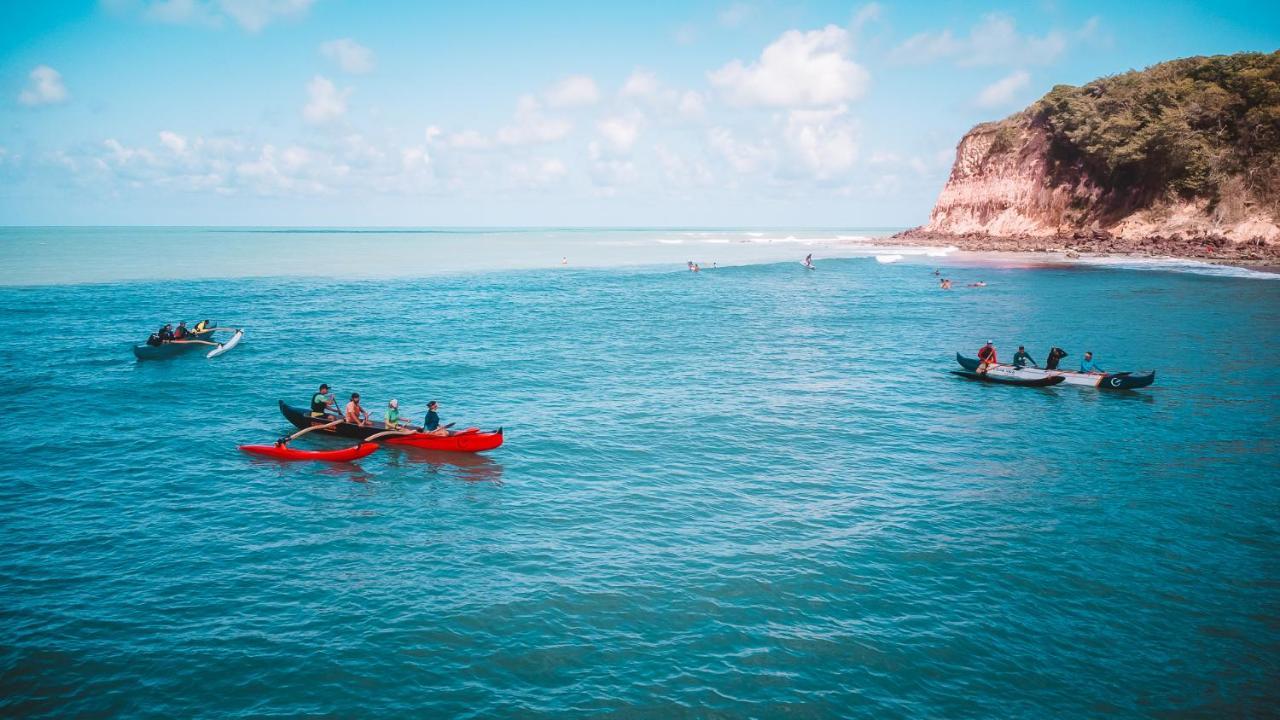 Madeiro Praia de Pipa